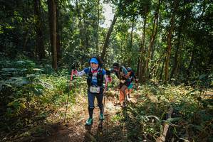 BIB: 3173
                            <button type="button" onclick="openModal(22550397)" class="btn btn-primary btn-sm float-right btn-popup" data-toggle="modal" data-target=".modal-high-quality">
                        <i class="fas fa-shopping-cart"></i> Add to Cart
                    </button>
                                            <button type="button" onclick="isThisMe(22550397, true)" class="btn btn-success btn-sm float-right btn-popup btn-isme hidden" data-toggle="tooltip" data-placement="bottom" title="นี่คือรูปของคุณใช่ไหม คลิกที่นี่เพื่อเอาเข้าอัลบั้ม">
                        <i class="fas fa-plus"></i> Add to album
                    </button>
                    <button type="button" onclick="isThisMe(22550397, false)" class="btn btn-warning btn-sm float-right btn-popup btn-isnotme hidden">
                        <i class="fas fa-ban"></i> Remove from album
                    </button>